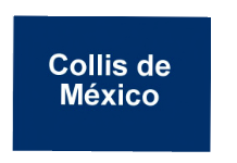 Collis de México, cliente datum